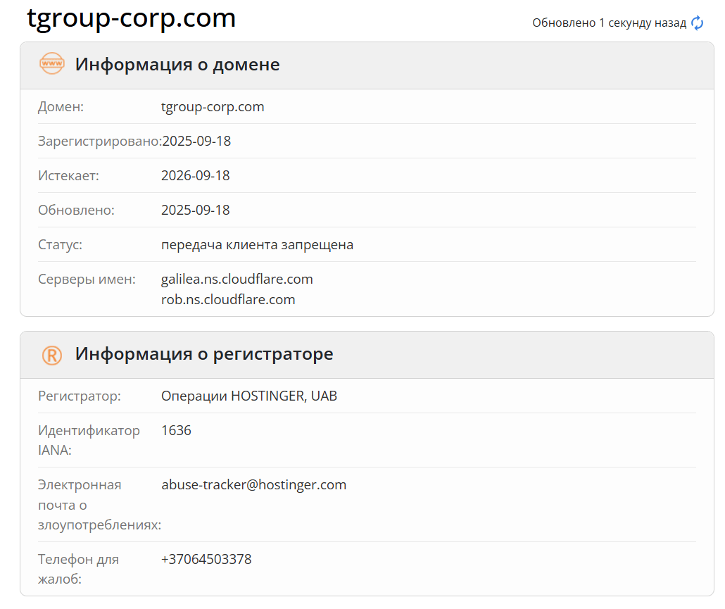 Tgroup Corp домен