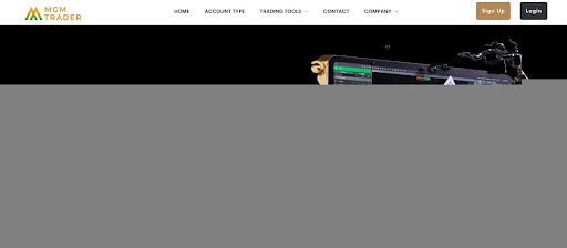 MGM Trader LTD обзор