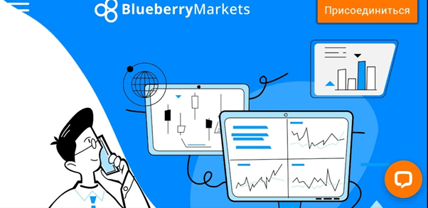 Анализ компании BlueberryMarkets, Фото № 1 - 1-consult.net