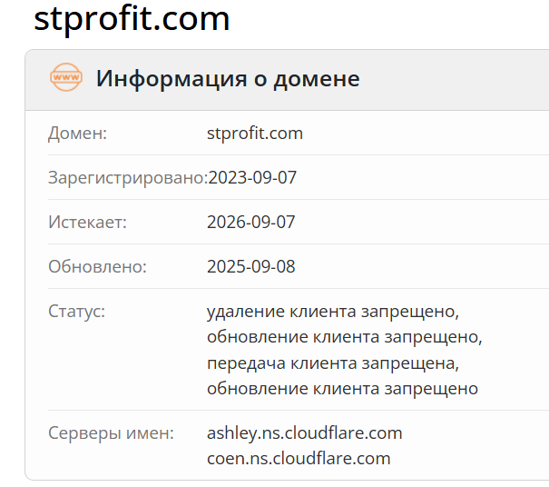 STProfit домен