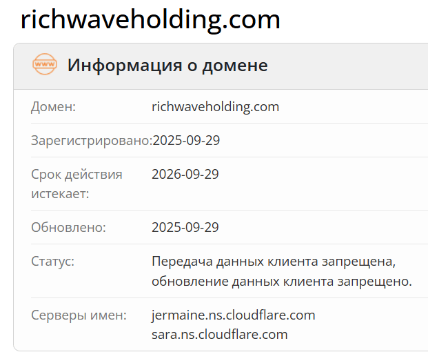 Rich Wave Holding домен