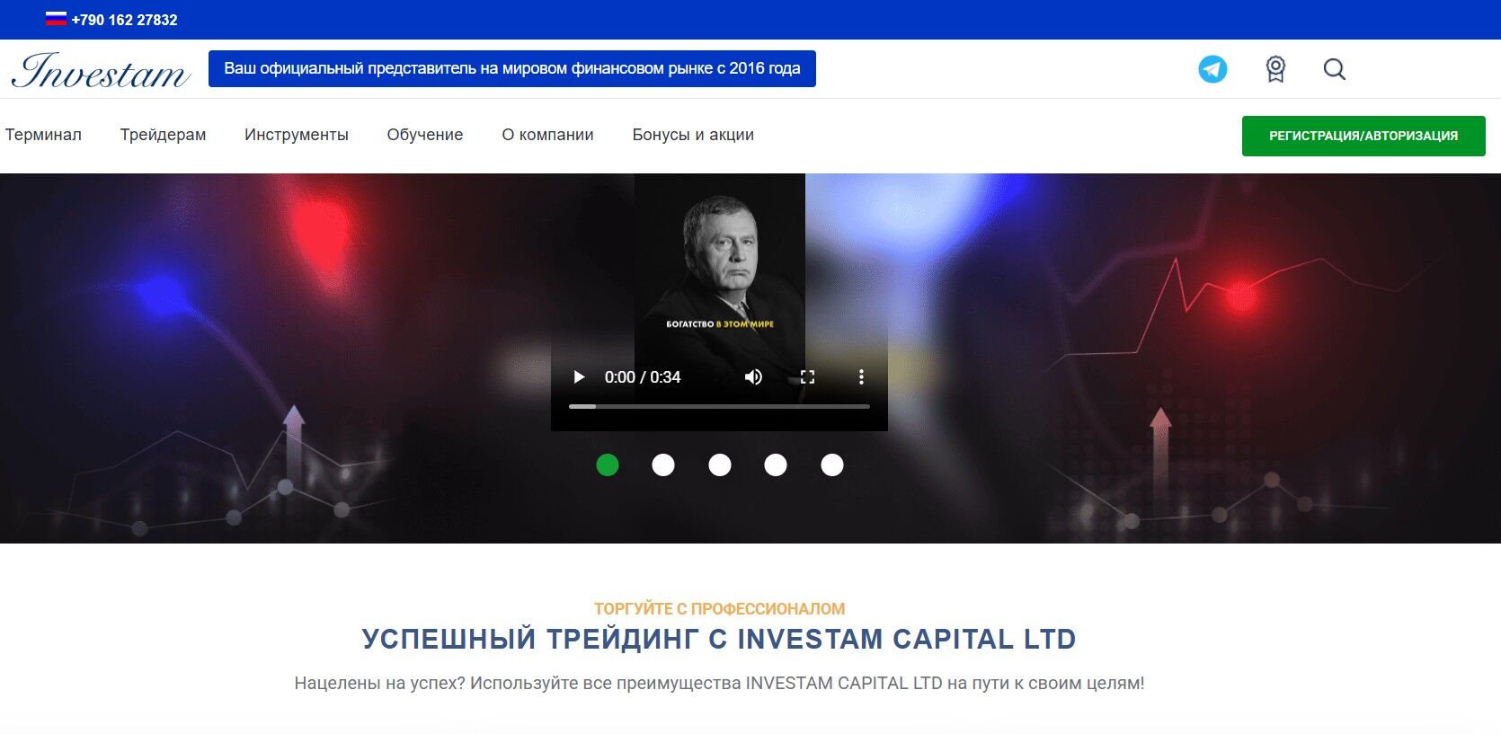 INVESTAM CAPITAL LTD обзор