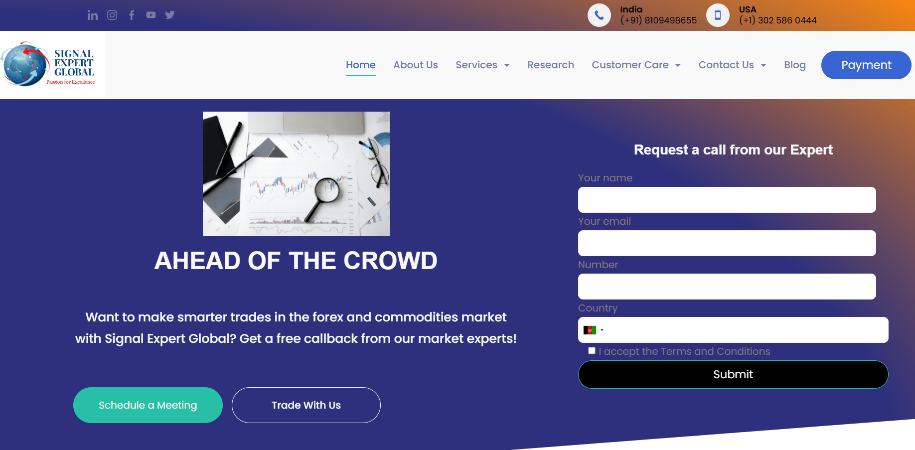 Signal Expert Global обзор