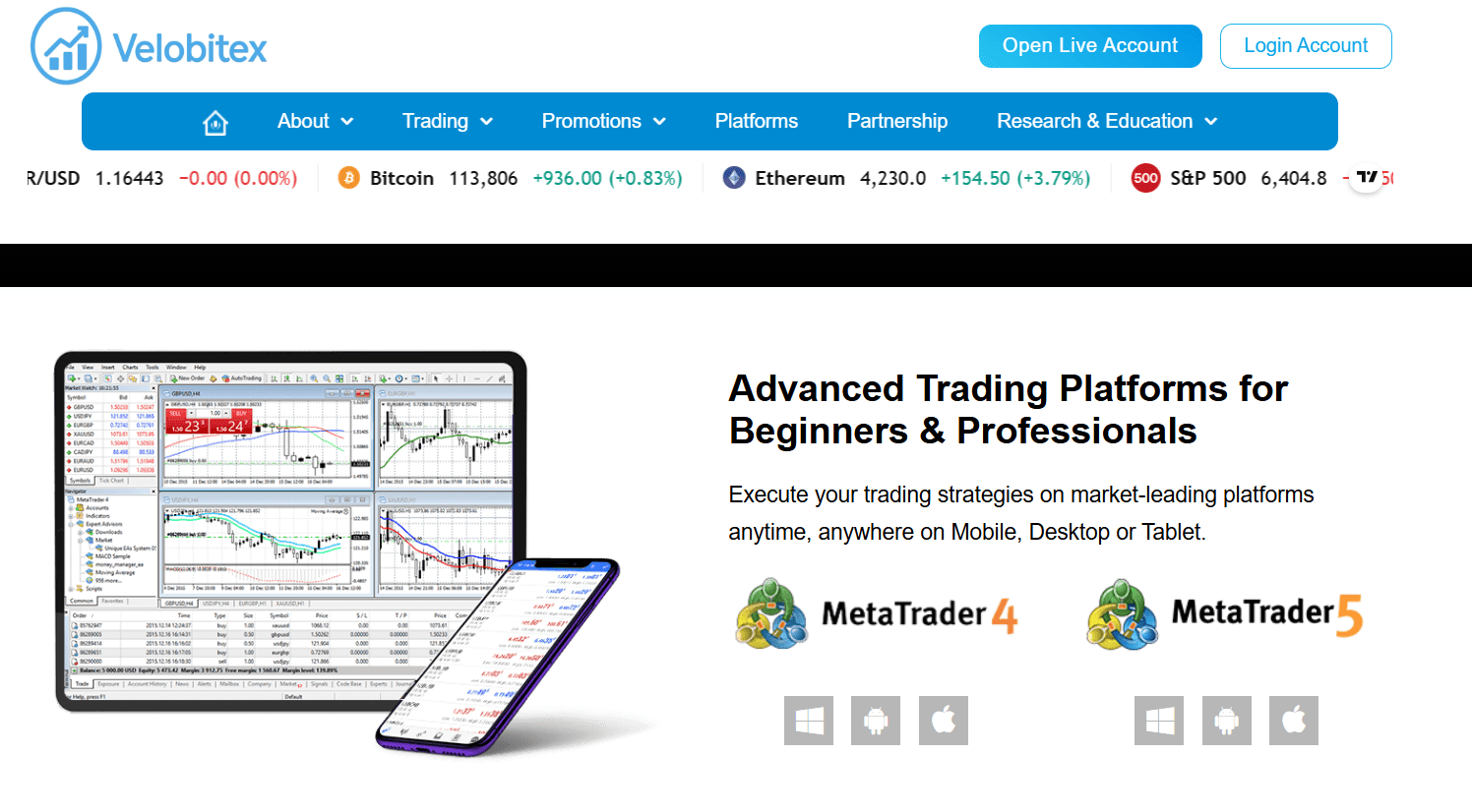 что известно о Velobitex Ltd