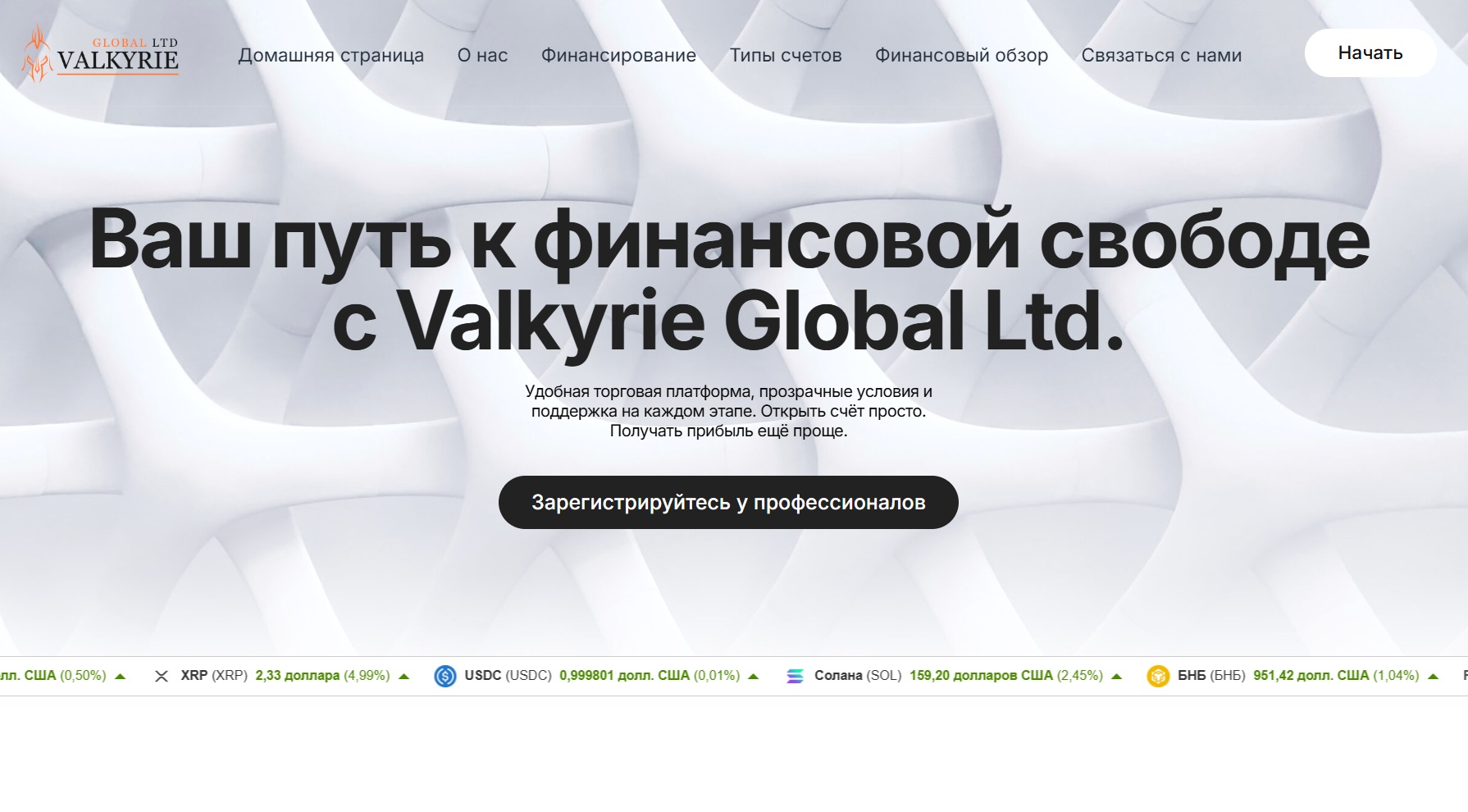 Valkyrie Global Ltd проверка
