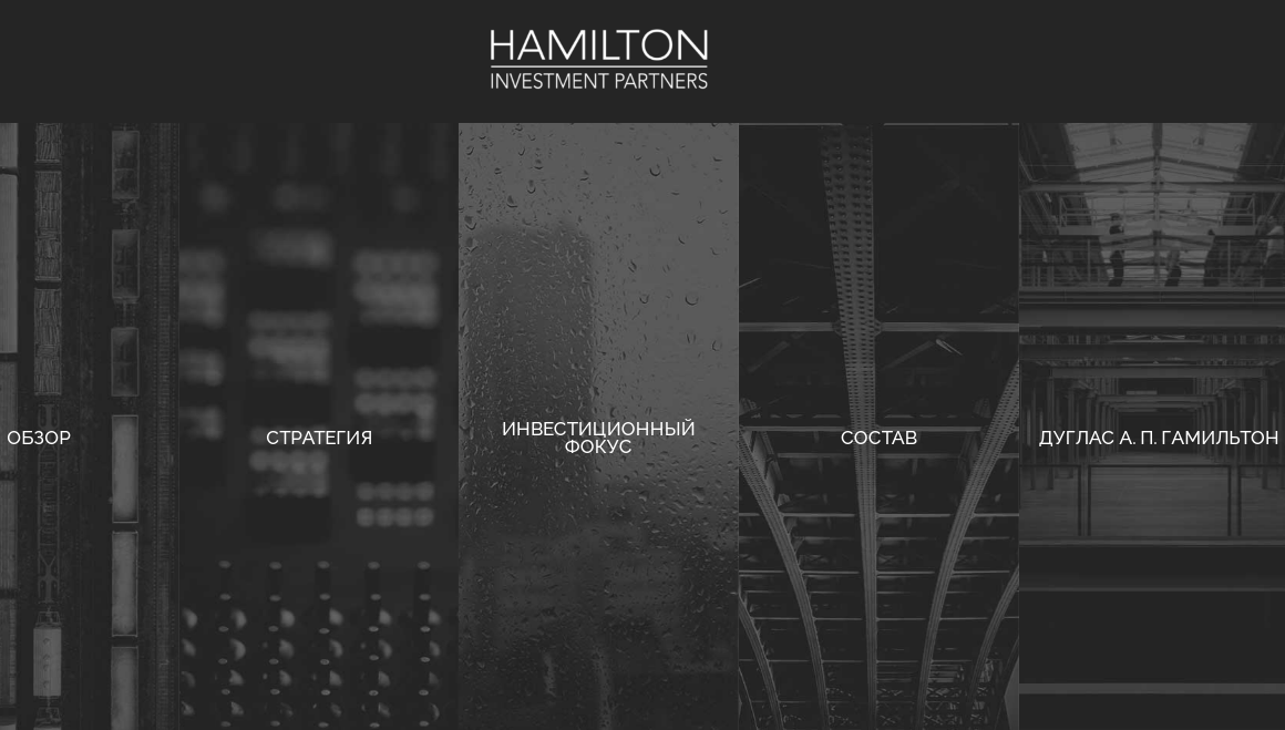 Hamilton Investment Partners (HIP) - обзор компании, Фото № 1 - 1-consult.net