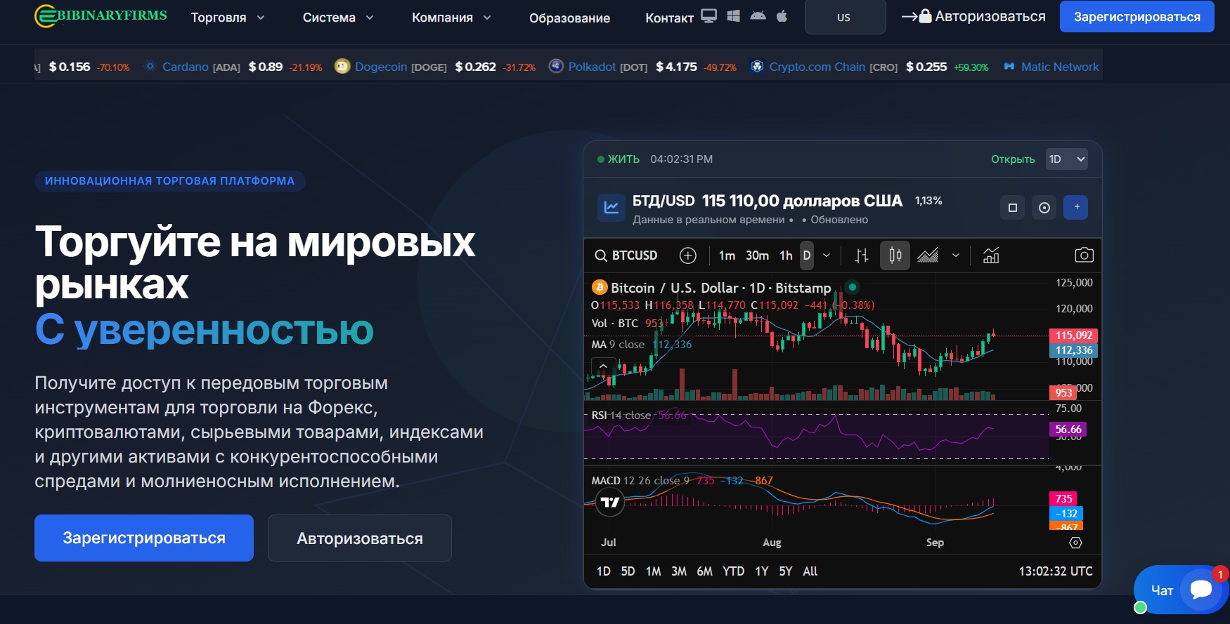 Bibinaryfirms сайт