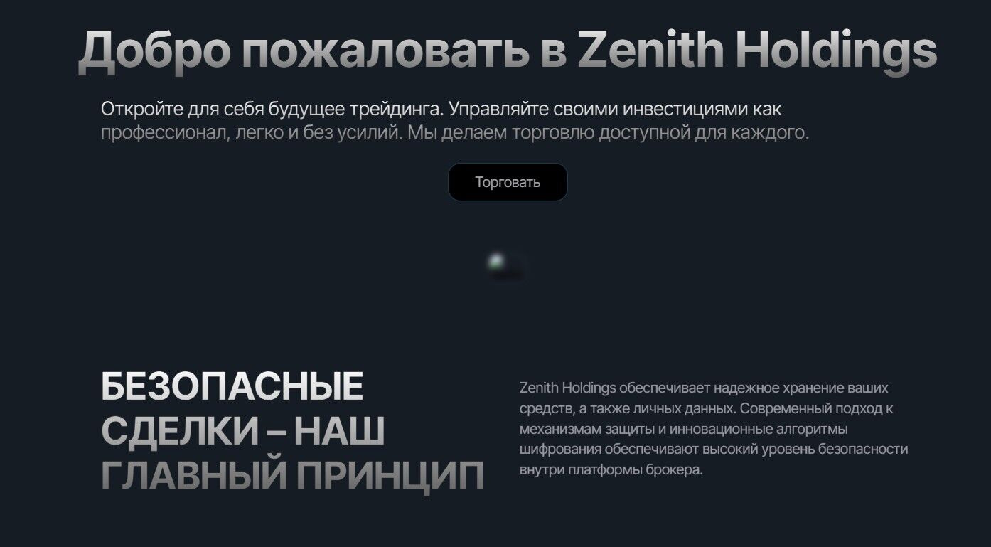 Zenith Holdings обзор