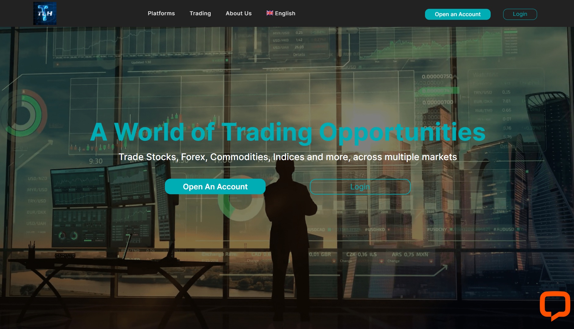 обзор TLH Trading Hub