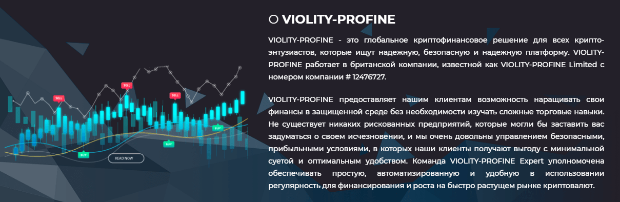 Violity Profine - пирамида на базе криптовалюты, Фото № 2 - 1-consult.net