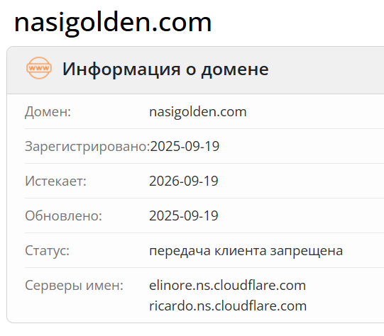 NASI GOLDEN — обзор, отзывы и проверка лицензии, Фото № 2 домен NASI GOLDEN