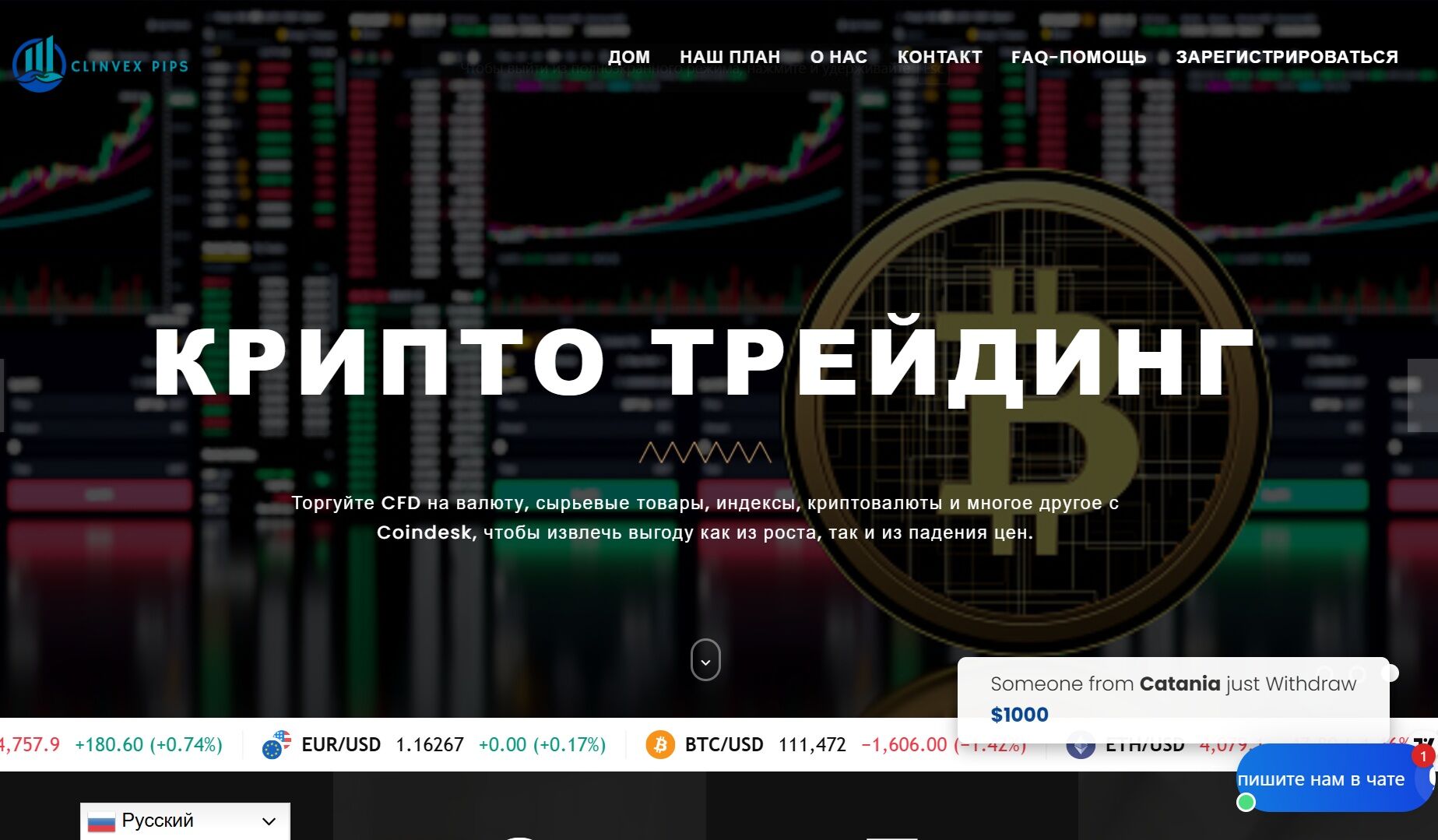 CLINVEX PIPS обзор