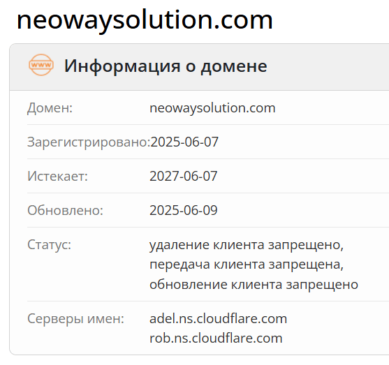 NeoWaySolution домен