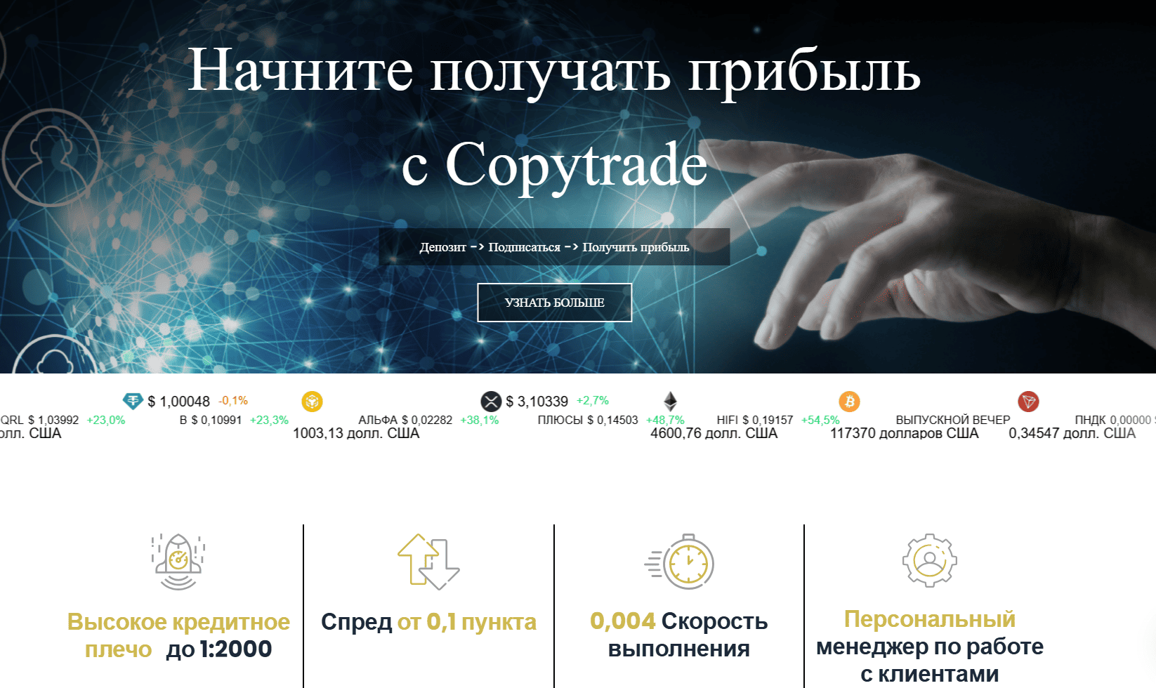 обзор на WealthForged