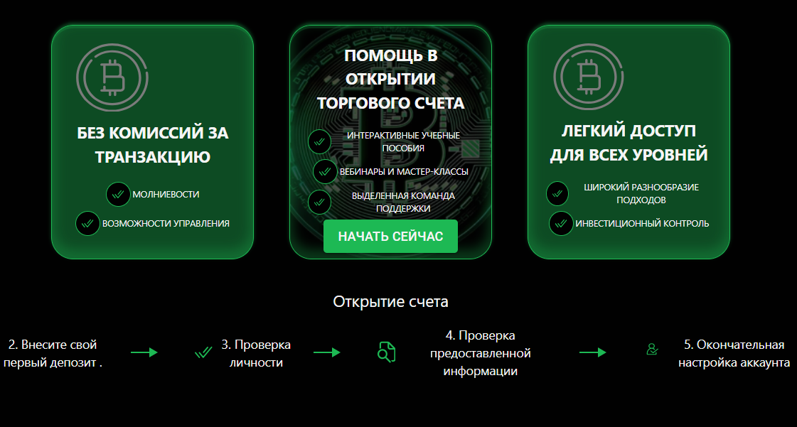 обзор The Access Investment Fund