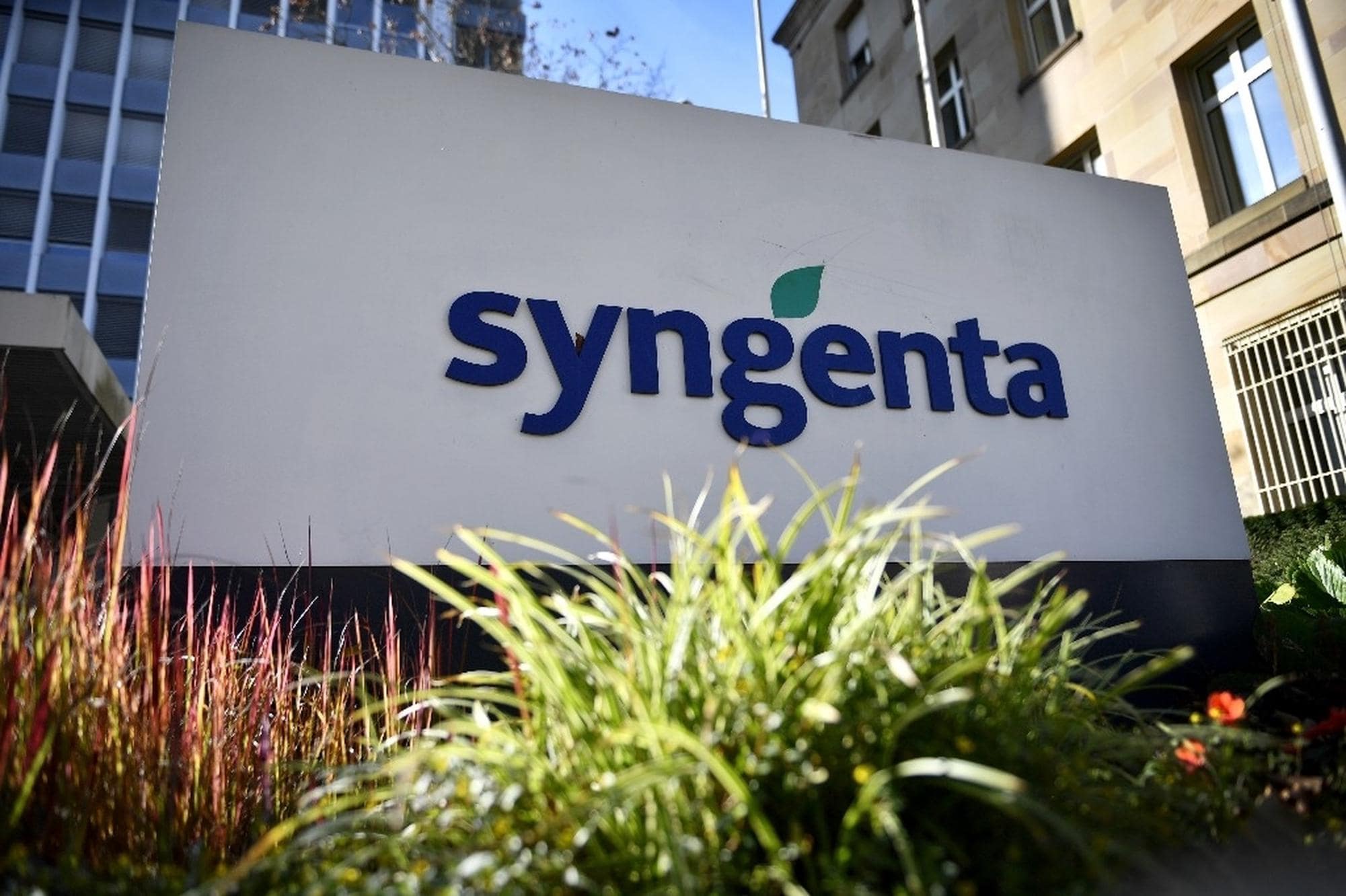 Изображение Syngenta претендует на крупнейшее IPO этого года
