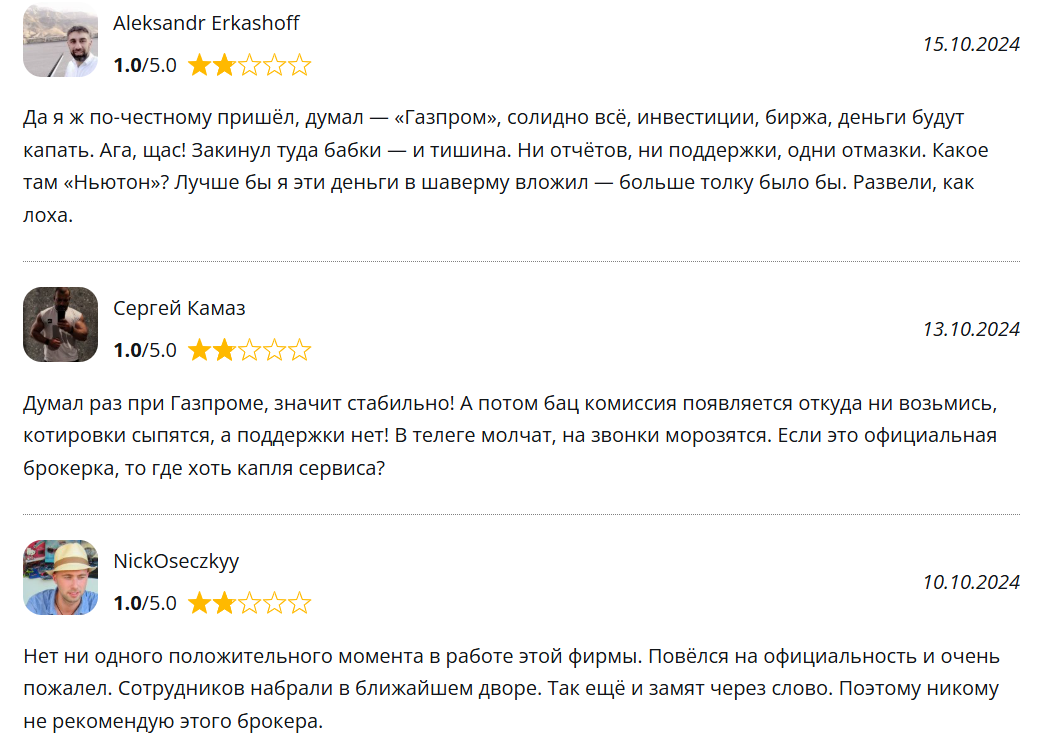 отзывы о Ньютон Инвестиции
