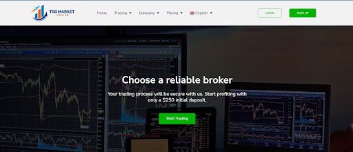 TSB Market LTD обзор