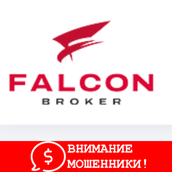 Изображение Falcon Broker